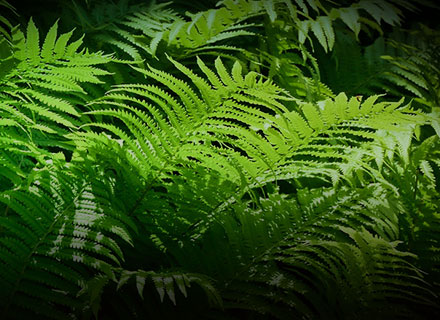 南宫NG·28(中国)相信品牌实力有限公司